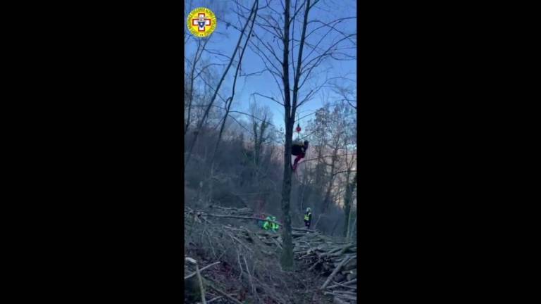 Sarsina: ferito mentre raccoglieva legna è grave - VIDEO