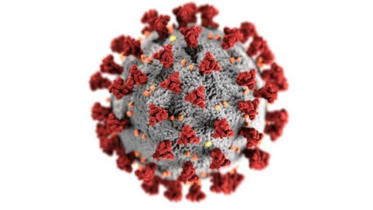Coronavirus: 89enne di Cesena la vittima n° 48 tra gli infettati
