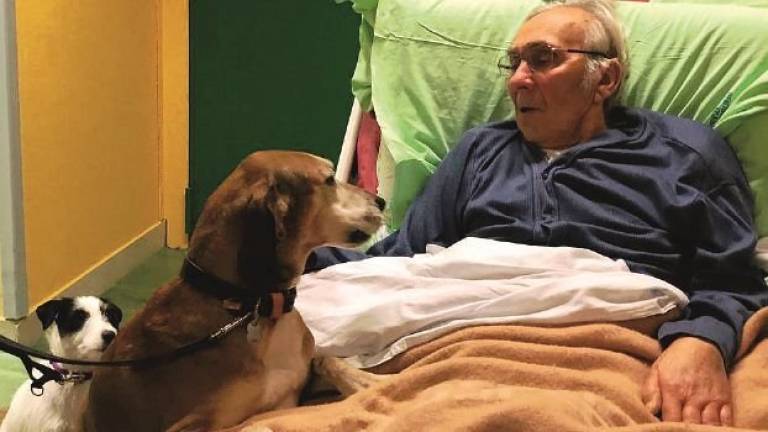 Imola, l'ultimo saluto ai cani in ospedale prima di morire. Il web si commuove
