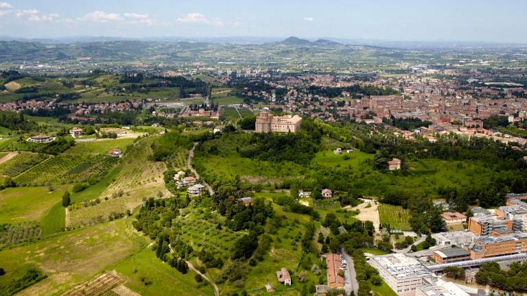 Cesena, il Comune annuncia: “Oltre 200 nuovi alberi in arrivo”, ecco dove saranno piantati