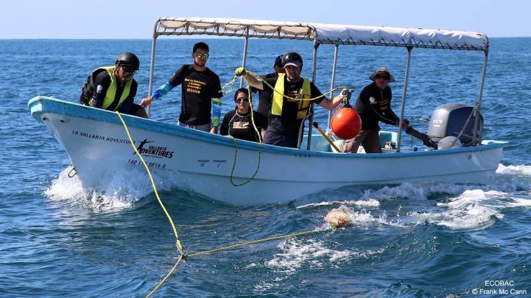 Riccionese salva una balena megattera in Messico