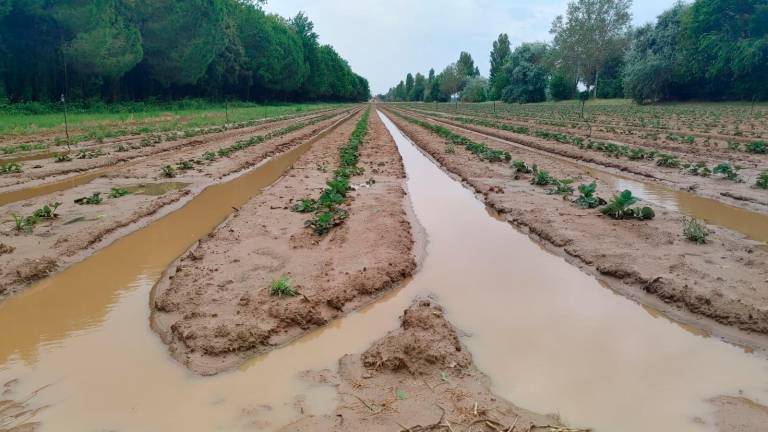 Alluvione, 16 milioni di euro risarciti alle Cab di Ravenna