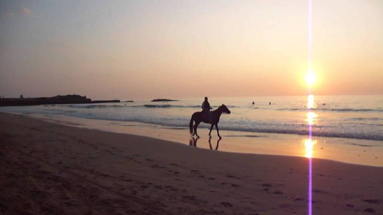 Ravenna, in spiaggia con i cavalli: scattano le multe