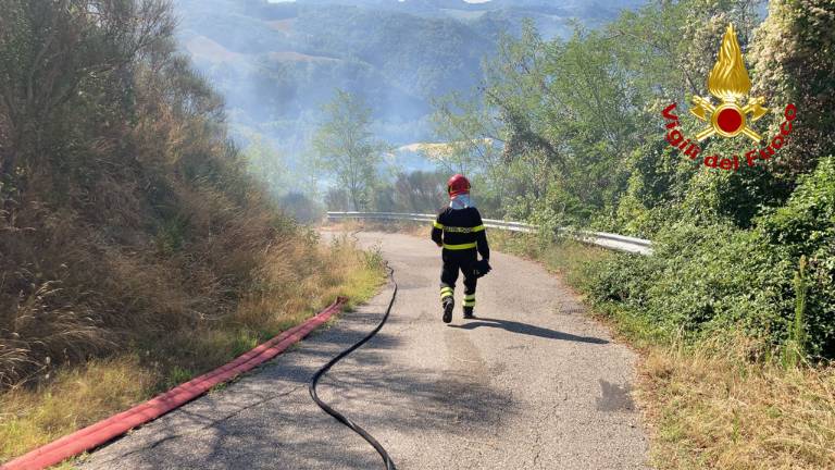 Nel pieno di un inverno anomalo: tra siccità e allarme incendi in Emilia-Romagna