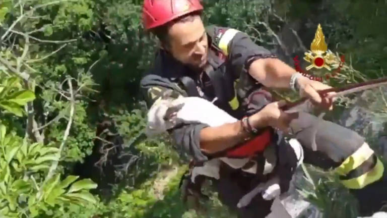 Volo di 50 metri dalla torre di San Marino, cane salvato dai pompieri