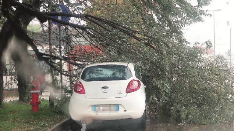 L'autunno sferza Rimini, forti raffiche di vento fanno cadere alberi sulle auto