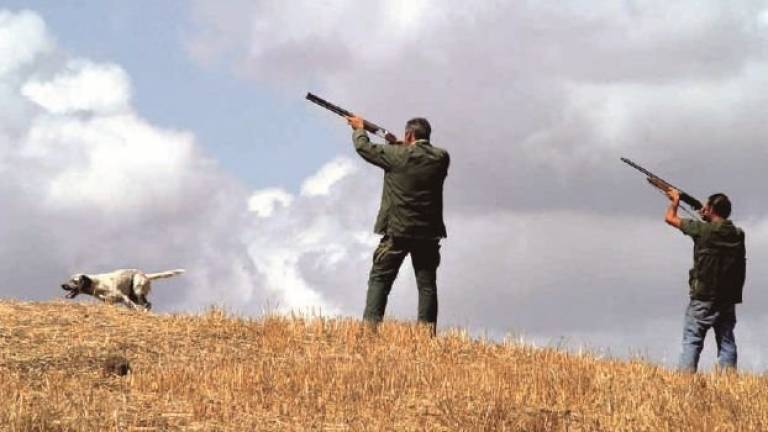Moria di uccelli a Ravenna, stop alla caccia nella Valle della Canna