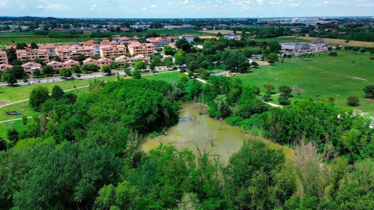 Il laghetto al Parco Ippodromo