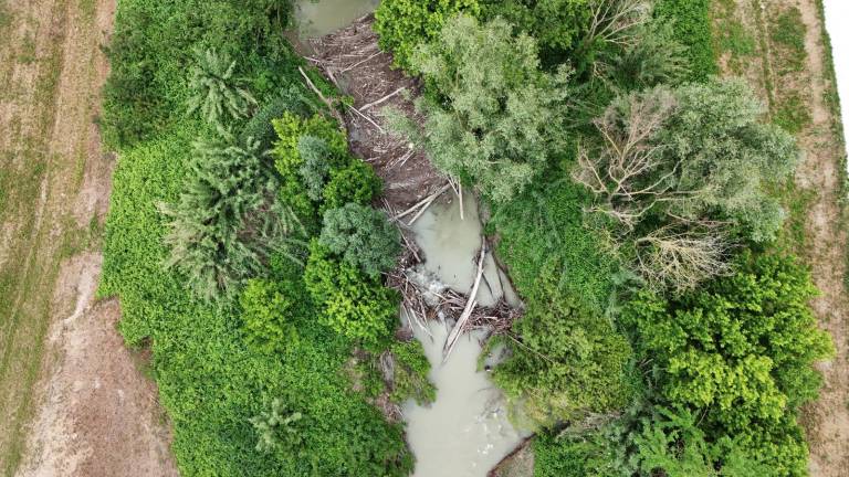Le condizioni del fiume Montone