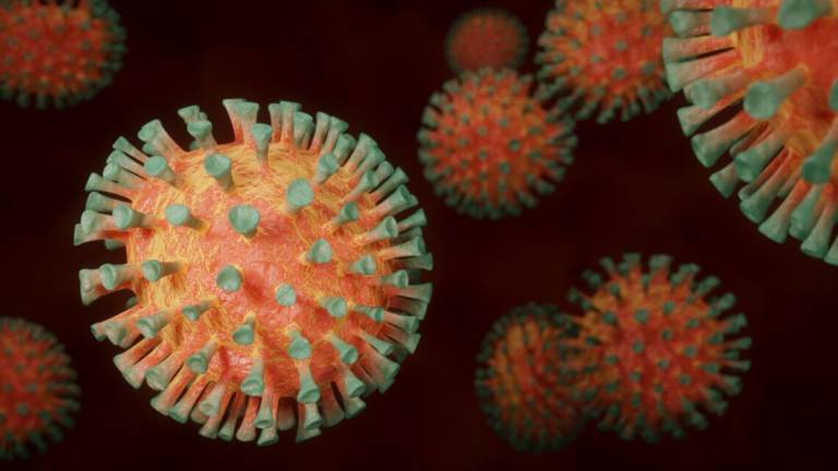 Coronavirus, a Ravenna superata quota ottomila casi