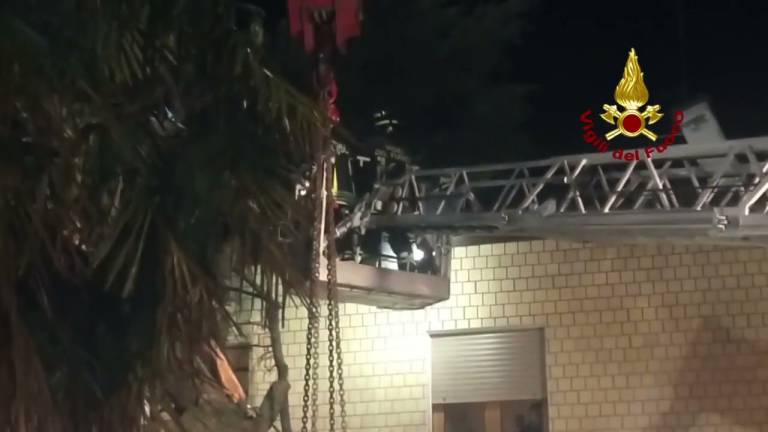 Forlì, l'albero cade davanti alla casa e blocca gli abitanti: intervengono i Vigili del fuoco VIDEO GALLERY