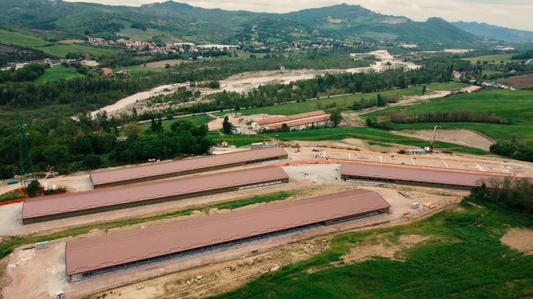 Maiolo. Allevamento Fileni, il Comitato per la Valmarecchia fa ricorso al Tar