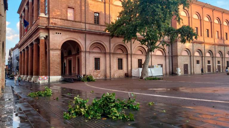 Rami spezzati anche nel centro storico