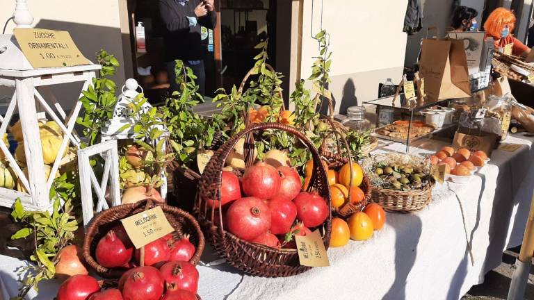 Casola Valsenio. Successo per i frutti dimenticati GALLERY