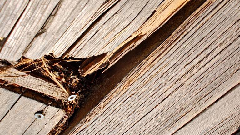 Le assi dissestate al Parco Marittimo