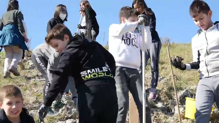 San Marino, il Bosco che verrà: le scuole medie in campo per l'ambiente