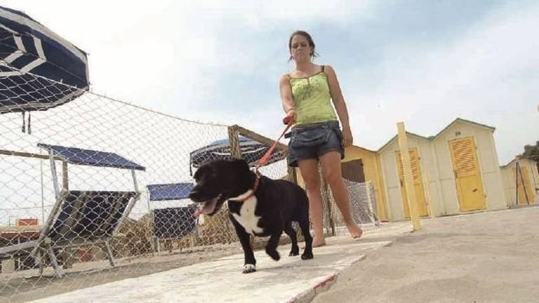 Cani in acqua, i bagnini devono presentare la Scia