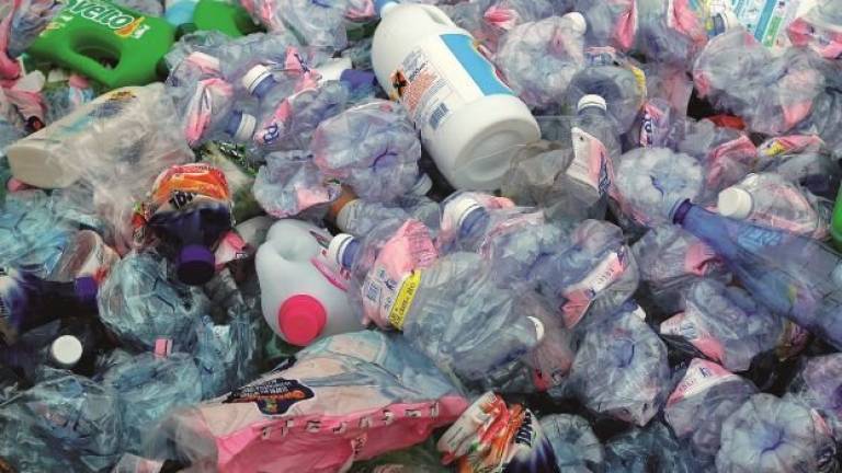 M5s Imola: Via la plastica mono uso dalle scuole della città e dal Comune