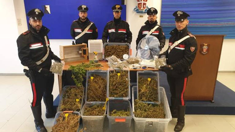Ravenna, in cella il coltivatore hi-tech di marijuana preso coi droni