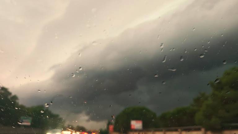 Allerta meteo per temporali in Romagna, venti a 100 km/h, alberi caduti sulla Romea