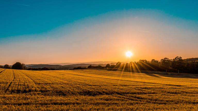 Il bando prevede un contributo di 1.500 euro per le proposte selezionate