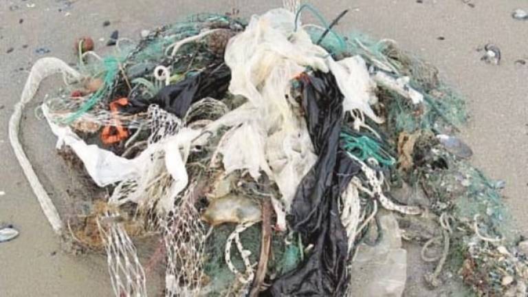 La Daphne: «Plastica in mare: sporte biodegradabili utili ma solo se lontane dall'acqua»
