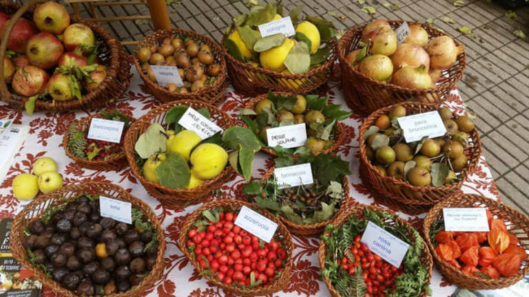 Casola Valsenio, in ottobre torna la Festa dei Frutti Dimenticati