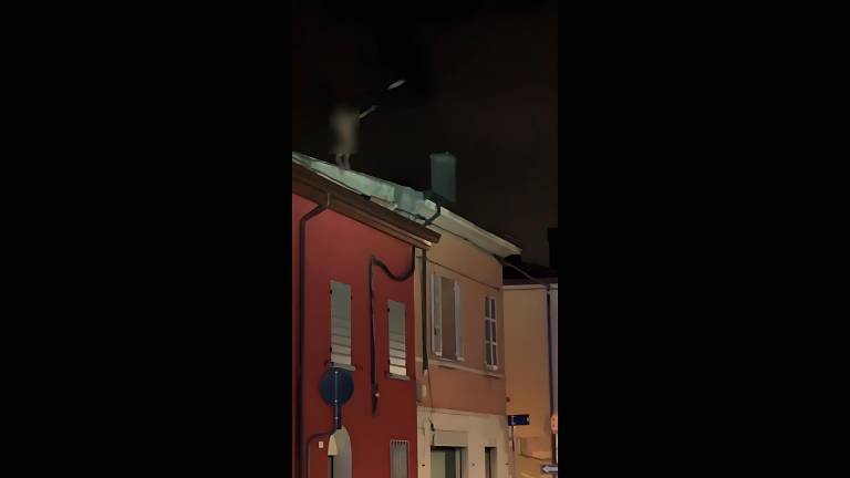 Fotogallery Massimo Fiorentini