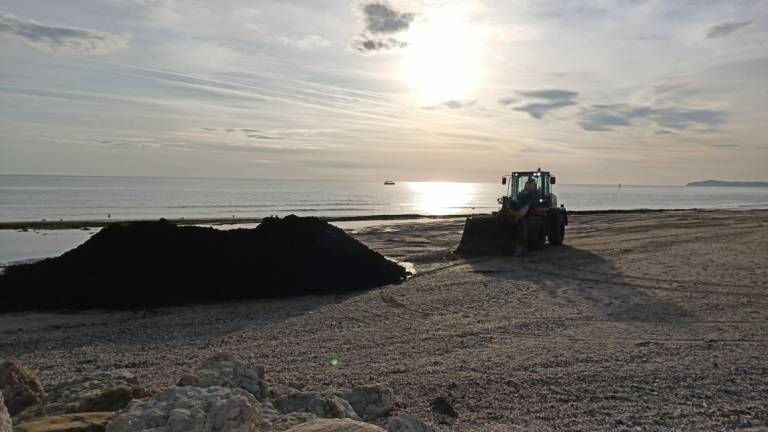 Rimini, la spiaggia del porto era piena di rifiuti, ora è stata pulita - GALLERY