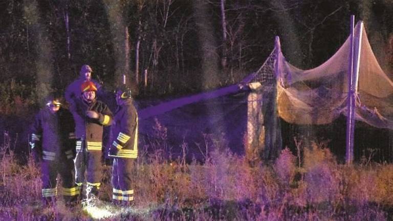 Rogo nella notte alla pineta di Pinarella di Cervia