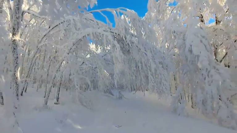 Neve sugli alberi e cielo azzurro: scenario magico sull'Appennino VIDEO