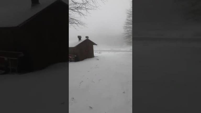 Meteo Romagna, rischio pioggia per tutta la settimana e neve sopra i 1000 metri VIDEO