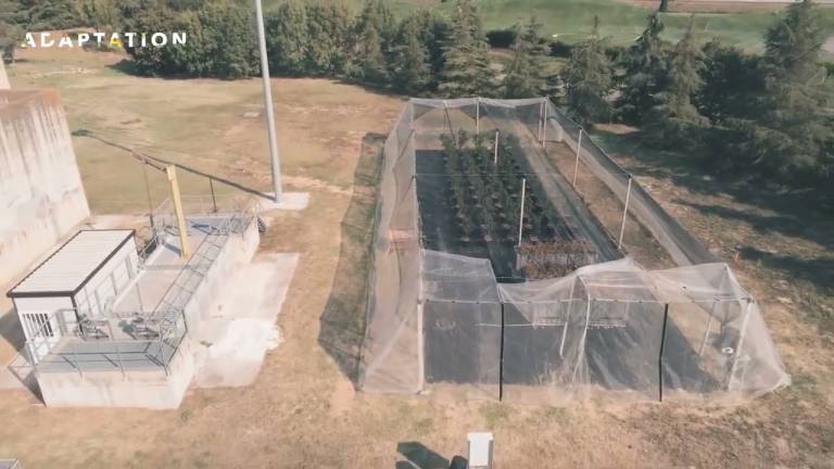 L'acqua dal depuratore all'agricoltura: il progetto rivoluzionario di Hera VIDEO