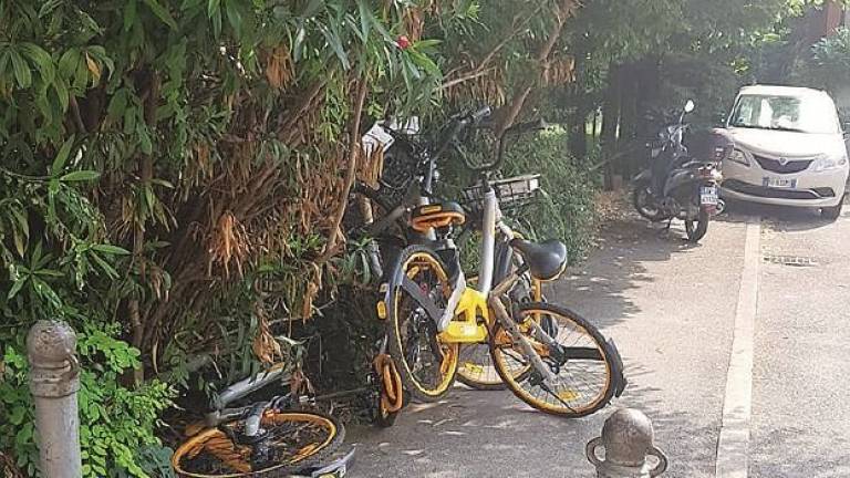 Il web racconta la strage delle bici Obike: tutto ingigantito, danni rarissimi