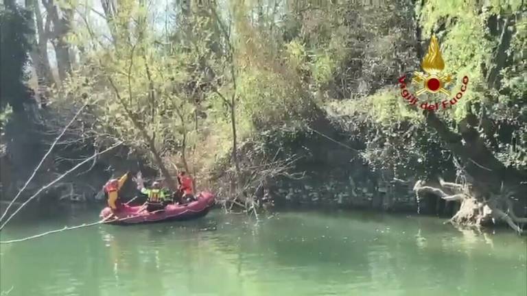 Airone liberato dai Vigili del Fuoco