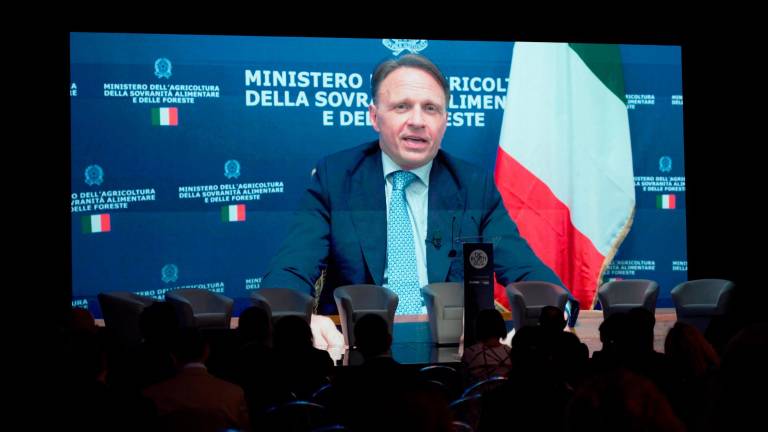 Il Ministro dell’Agricoltura, della Sovranità alimentare e delle Foreste Francesco Lollobrigida è intervenuto con un video messaggio