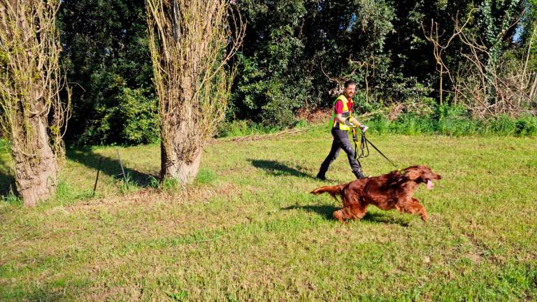 Ravenna, esercitazione con le unità cinofile GALLERY