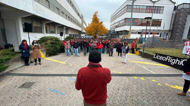 Cesena, il flash mob degli studenti del Liceo Scientifico contro la violenza di genere VIDEO GALLERY