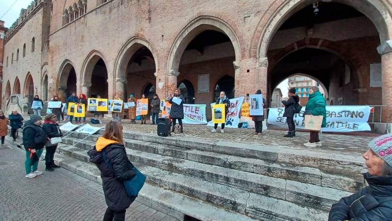 Rimini. Gli animalisti in piazza per salvare i gatti intrappolati alla caserma Giulio Cesare