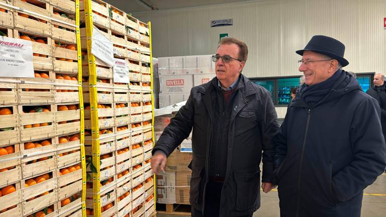 Foto e video Zanotti