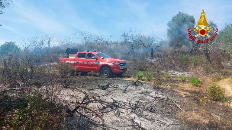 Incendio di vegetazione a Roncofreddo