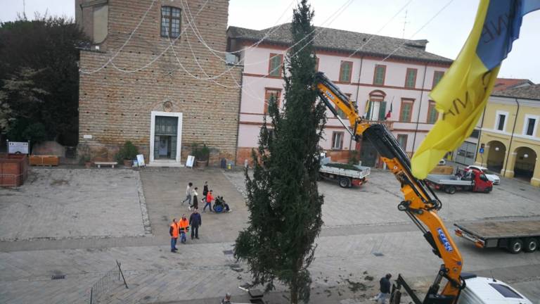 Cervia, l'Albero di Natale si accende l'otto dicembre