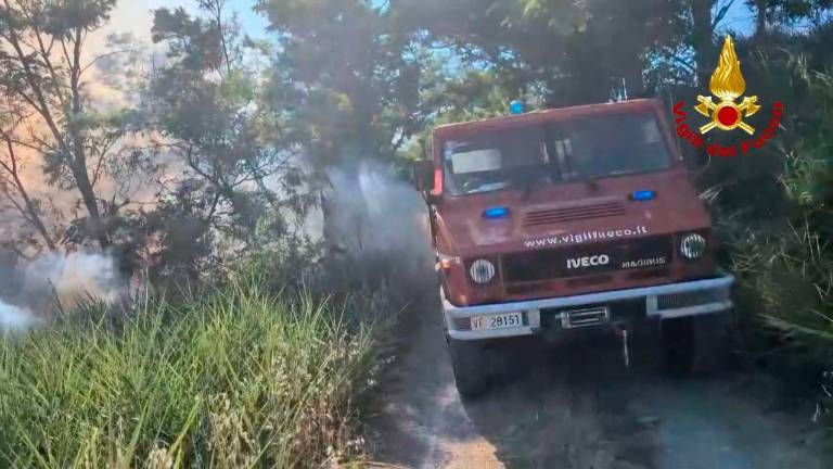 Predappio, incendio nel bosco