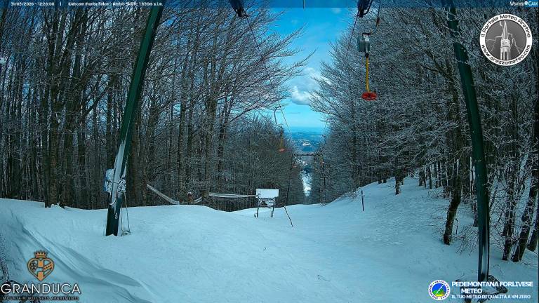 Il monte Falco a Campigna