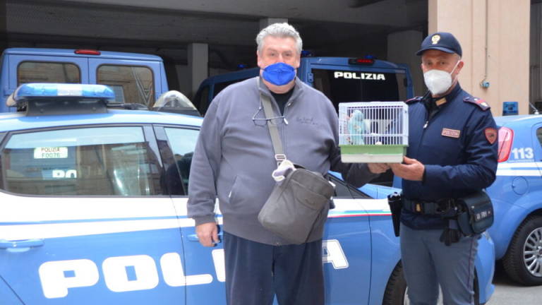 Forlì, un pappagallo si consegna alla Polizia: rintracciato il proprietario