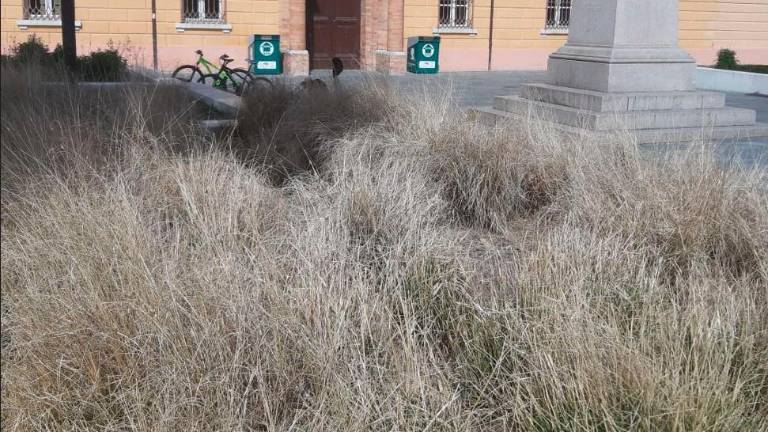 La situazione di incuria fino a pochi giorni fa