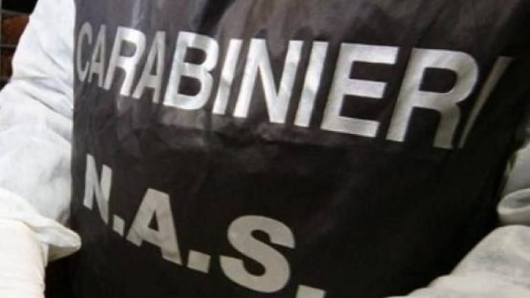 Rimini, 8 quintali di surgelati scaduti: nei guai un imprenditore