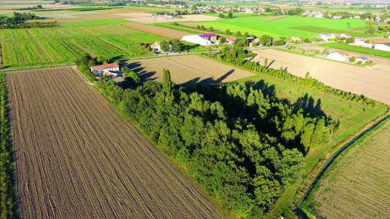 Ravenna, a per ammirare il foliage nei terreni riconvertiti a bosco