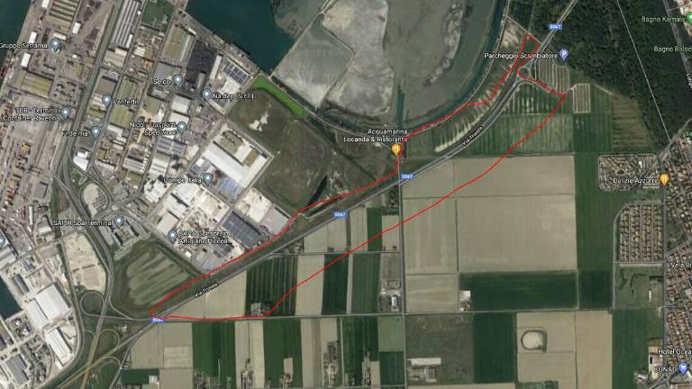 Svolta verde vicino al porto: un bosco urbano tra Ravenna e Marina