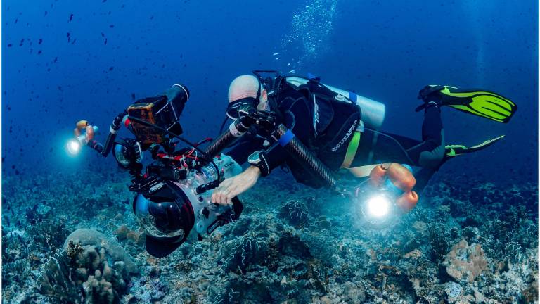 Il regista riminese del mondo sommerso vince l’ennesimo premio internazionale GALLERY